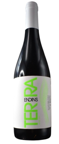 Terra Endins